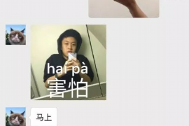 韩国电影《老崔帮人要账》：一场关于正义与生活的较量