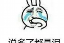 开平追债公司:专业高效,助您解决债务难题 开平追债公司:专业高效,助您解决债务难题